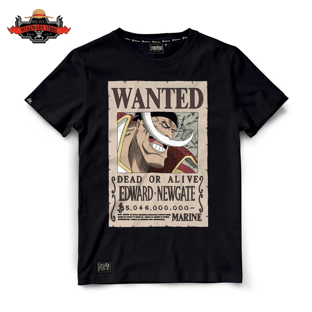 Web Template_Mugiwara-05